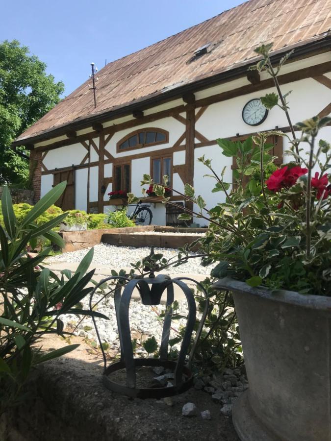 Apartamenty Sudeckie Nad Zalewem I Sosnówka Extérieur photo