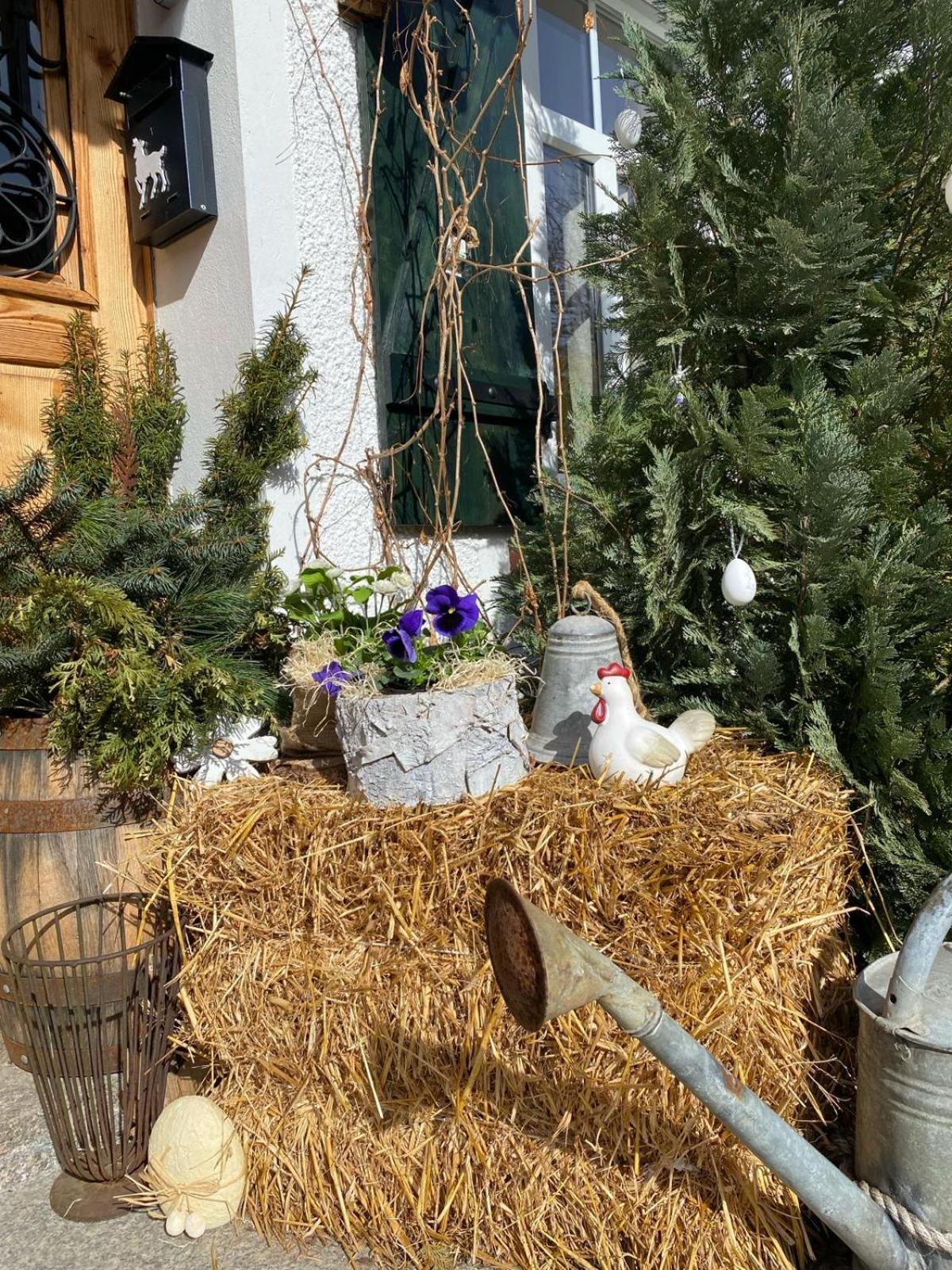 Apartamenty Sudeckie Nad Zalewem I Sosnówka Extérieur photo